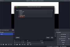OBS - Select the virtual interface